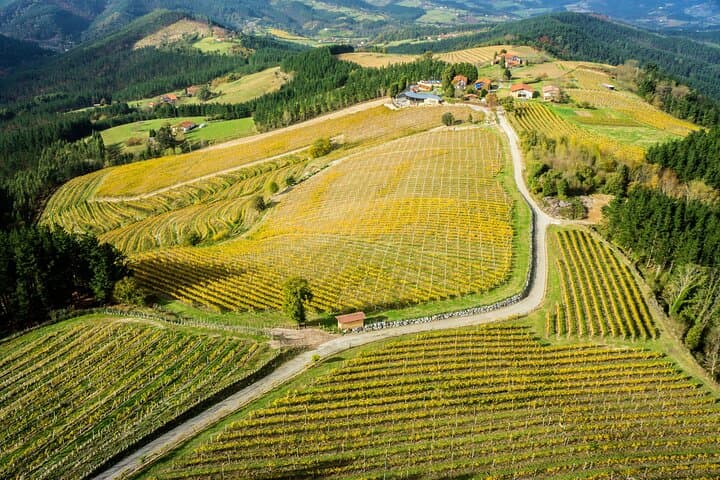 Txakoli Wine Tasting & Local Flavors near Bilbao