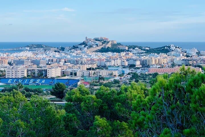 Private 4-hour walking tour of Ibiza with official tour guide