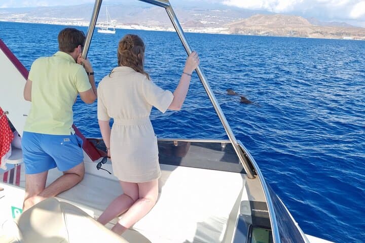 Tenerife Ecoyacht Tour for Whale Watching