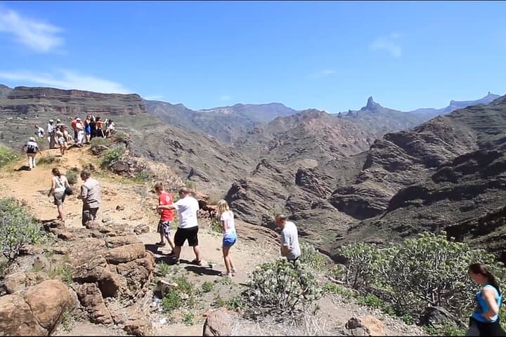 Tastes of Fuerteventura Minivan VIP Tour