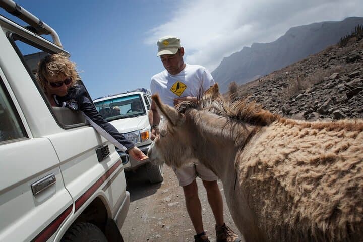 4X4 Safari: Jandía Natural Park and Cofete
