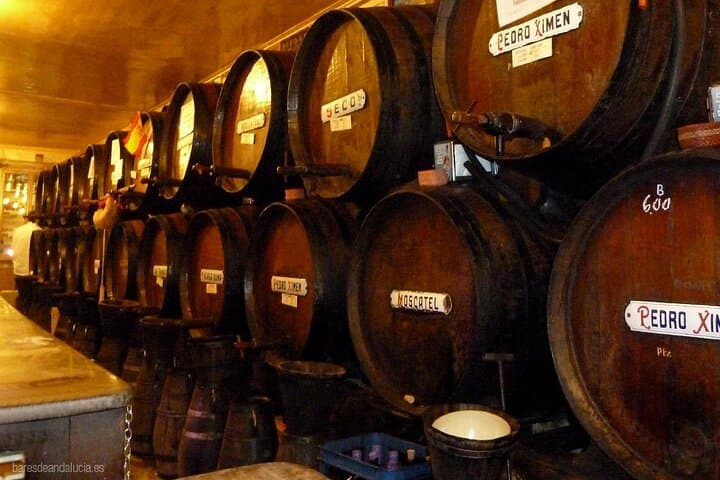 Visit the oldest winery in Malaga since 1840