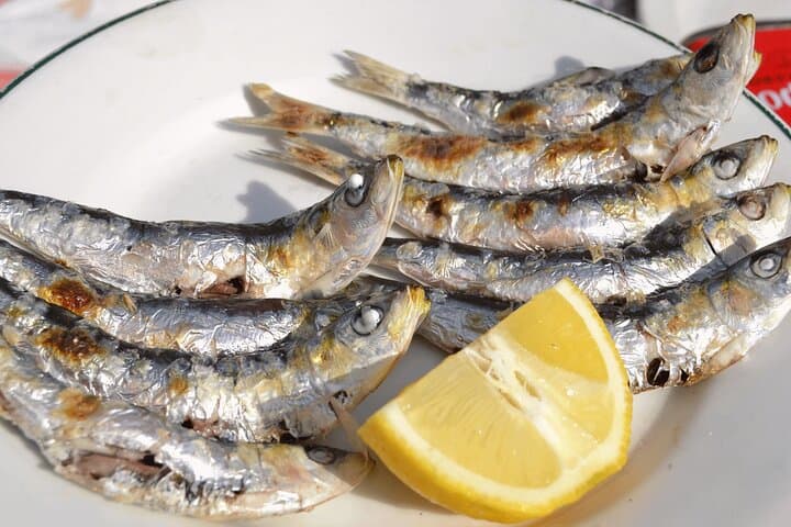 The freshest fish from the bay of Malaga