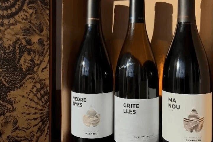 Priorat Wine Tasting Tour from Salou with hotel pickup