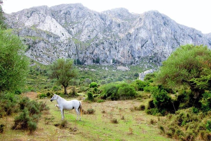 Hiking Private Tour in Pollensa