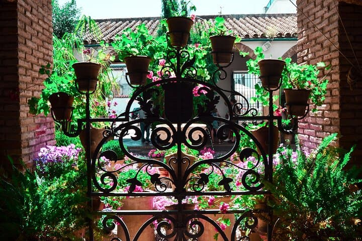 Guided tour of the Viana Palace and its Patios