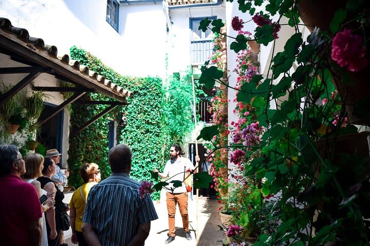 Guided tour of the Viana Palace and its Patios