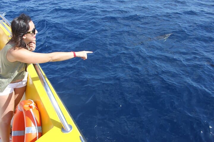 Sunset Dolphin Watching Trip on board the Biosfera Jet