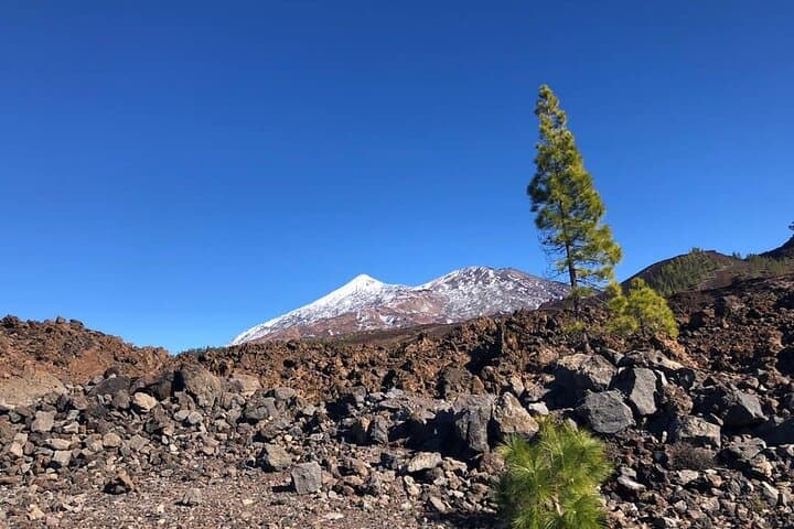 Guided Tour to Teide National Park in Tenerife