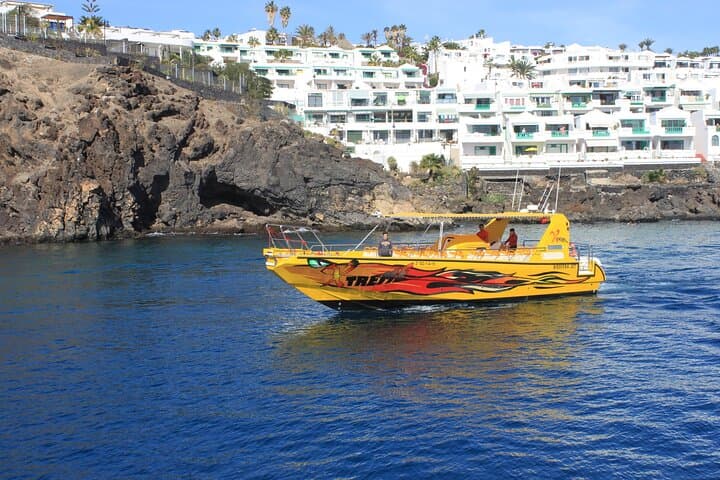 Dolphin Watching Cruise to Lobos Island