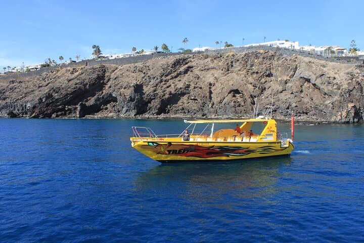 Dolphin Watching Cruise to Lobos Island
