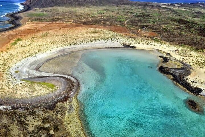Dolphin Watching Cruise to Lobos Island