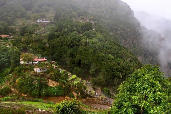 Full Day Guided Tour to La Gomera from Tenerife