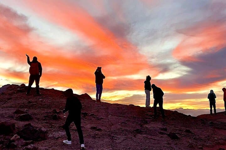 Small Group Teide National Park Volcanic and Forest Wonders