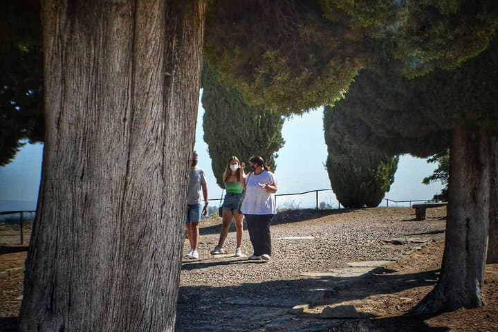 Italica 2-Hour Private Guided Tour