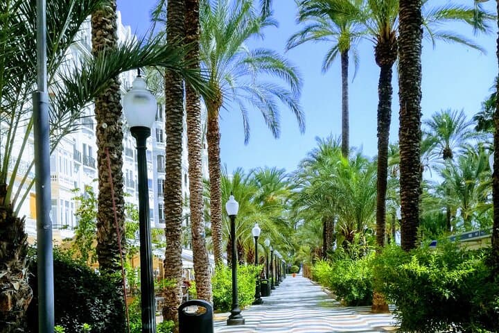 Private Full-Day Tour to Alicante from Valencia with Hotel Pick Up