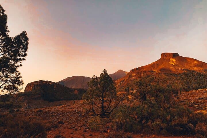 Guided Tour to Teide National Park in Tenerife
