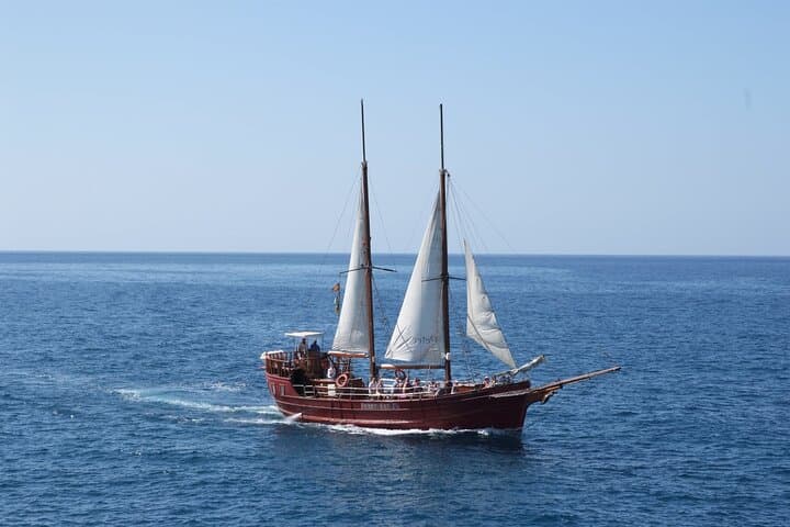 Sealife Dolphin & Whale Watching aboard Portuguese schooner