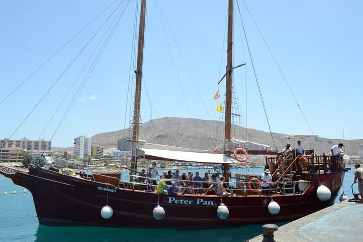 Sealife Dolphin & Whale Watching aboard Portuguese schooner