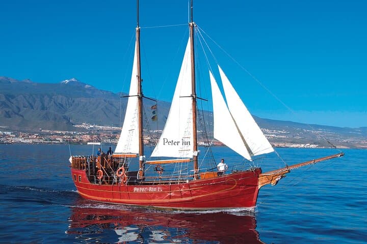 Sealife Dolphin & Whale Watching aboard Portuguese schooner