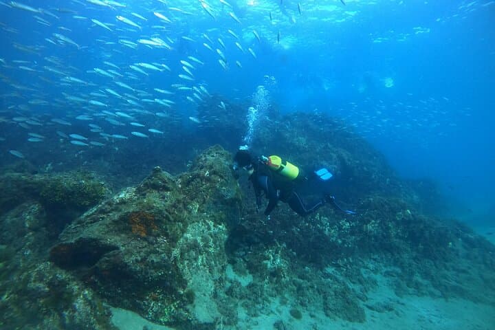 Lanzarote: Try Scuba Diving – 2 Dives Experience
