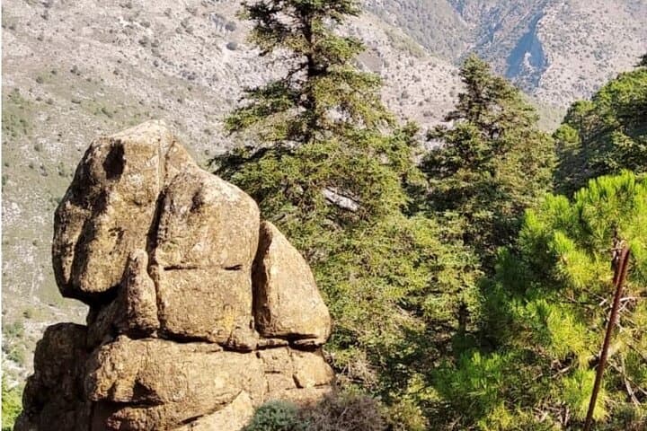 Karstic stone