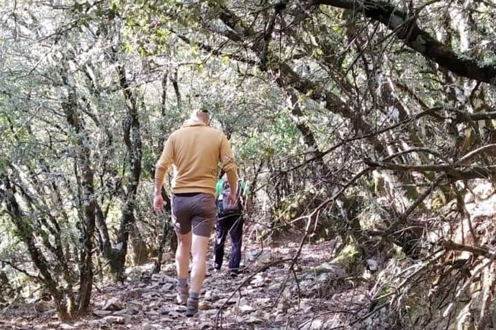 Trail
