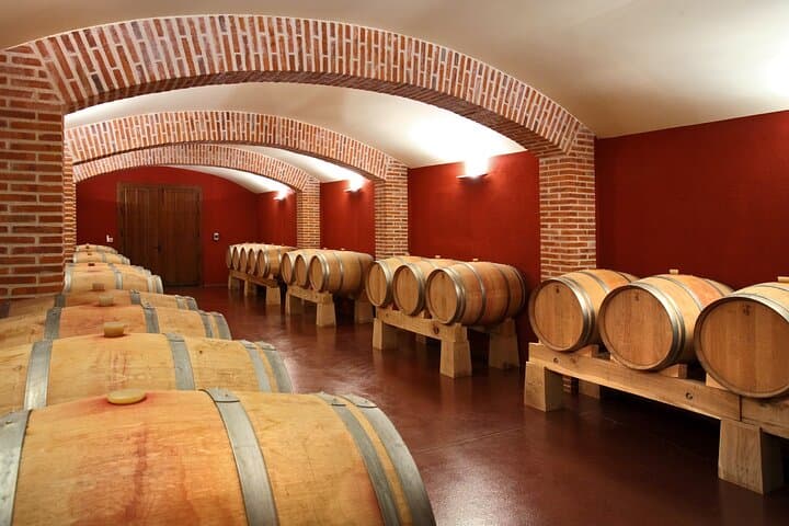 Ribera del Duero Winery Tour & Wine Tasting Near Valladolid