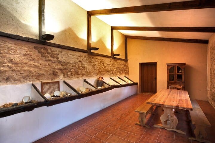 Ribera del Duero Winery Tour & Wine Tasting Near Valladolid
