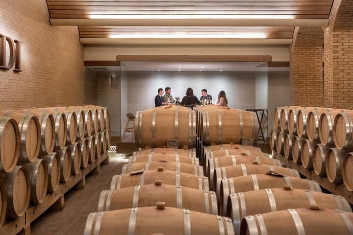 Rioja: Wine Tasting & Gourmet Pairings in an Iconic Cellar