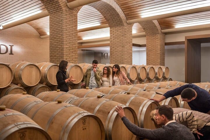 Rioja: Wine Tasting & Gourmet Pairings in an Iconic Cellar