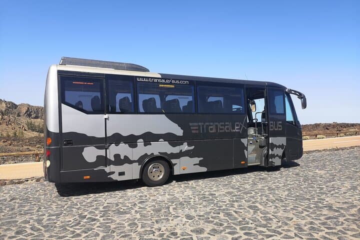 Our five stars bus
