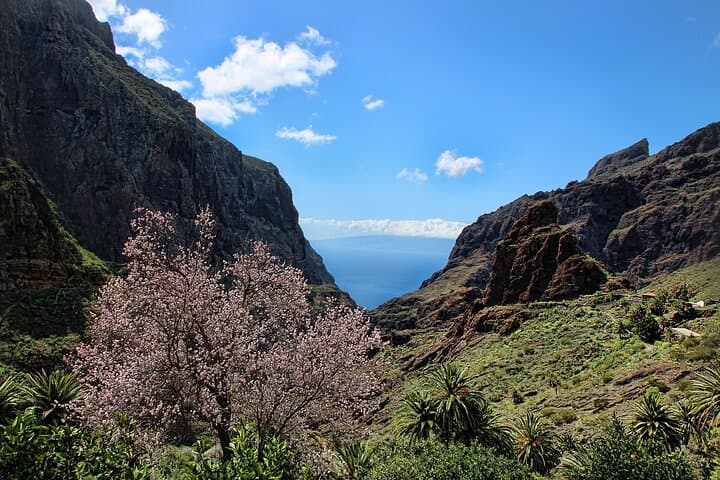 Views of Masca Valley