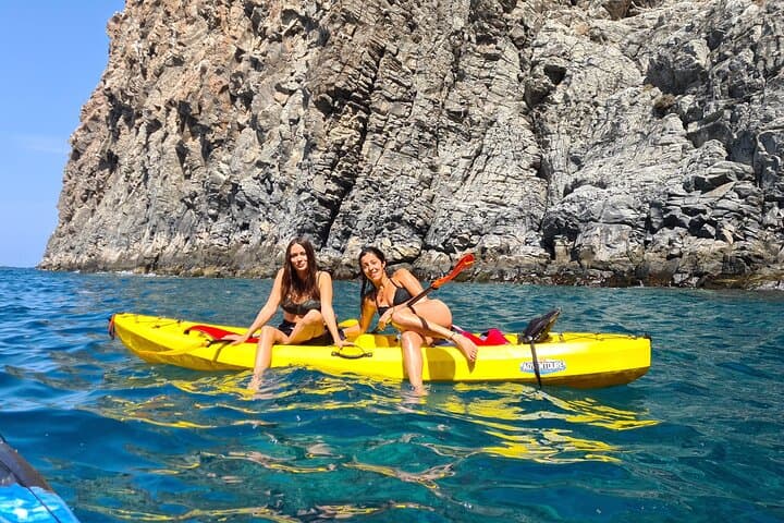 Kayak Safari with Dolphin and Turtle Watching from Los Cristianos