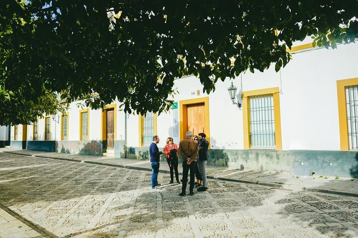 Seville Jewish Quarter Small-Group Walking Tour: History & Gems