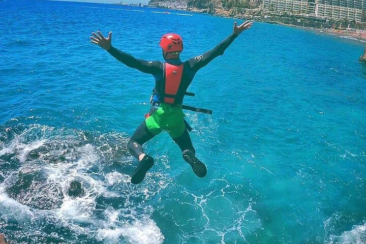 FEEL FREE