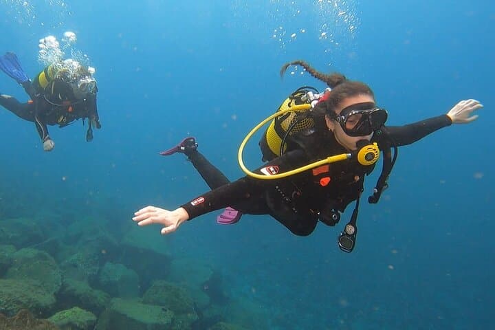 Guided Immersion from Santa Cruz de Tenerife