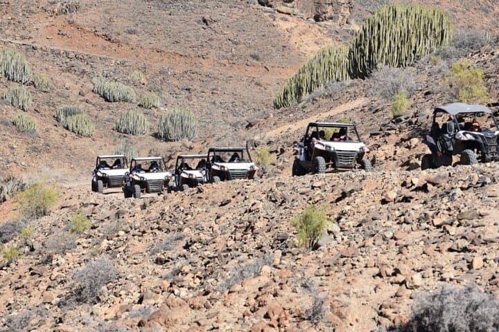 South Gran Canaria Buggy Tour