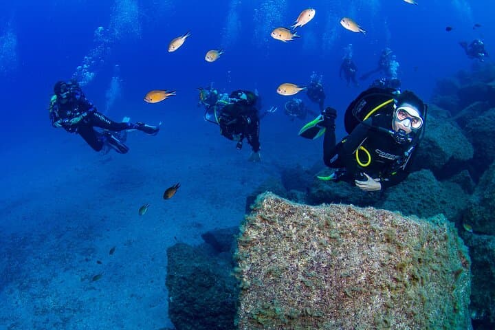 Guided Immersion from Santa Cruz de Tenerife