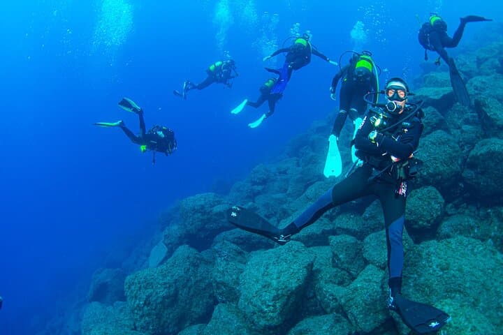 Guided Immersion from Santa Cruz de Tenerife