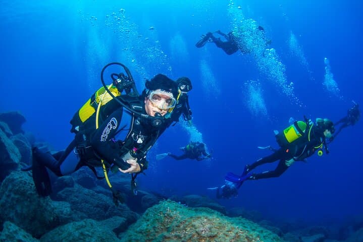 Guided Immersion from Santa Cruz de Tenerife