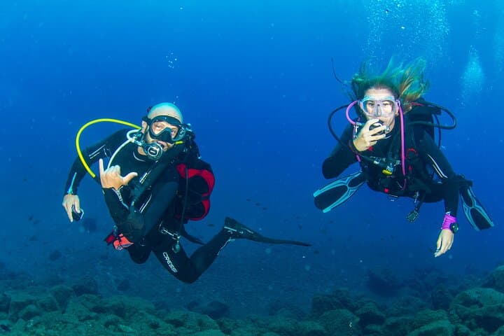 Guided Immersion from Santa Cruz de Tenerife