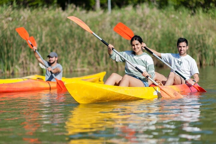 Kayak Rental