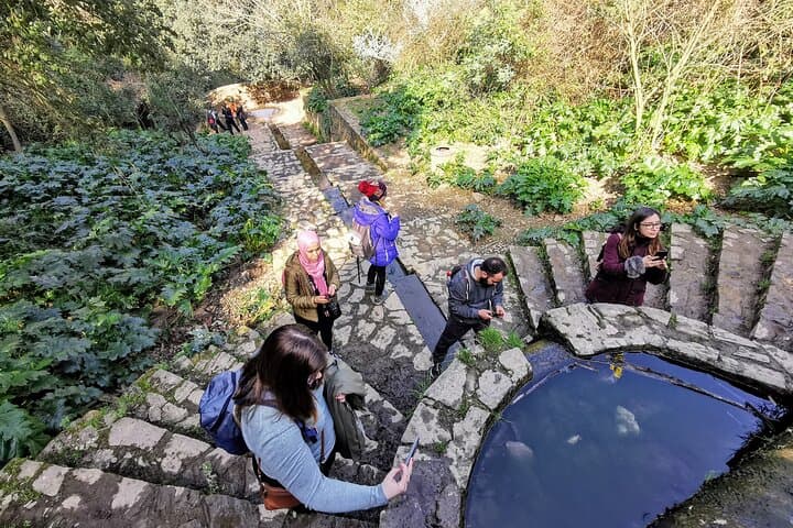 Walk & Photo Tour in Barcelona's mountain
