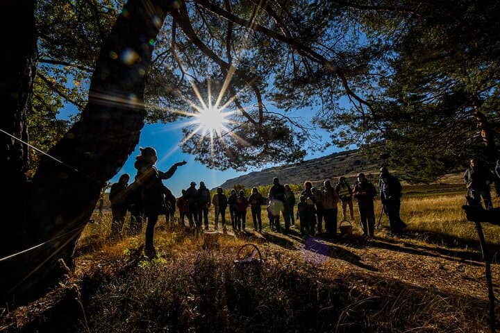 Sabinares del Arlanza Natural Park Nature Route