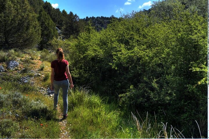 Sabinares del Arlanza Natural Park Nature Route