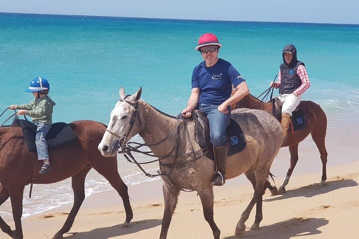 Family trip