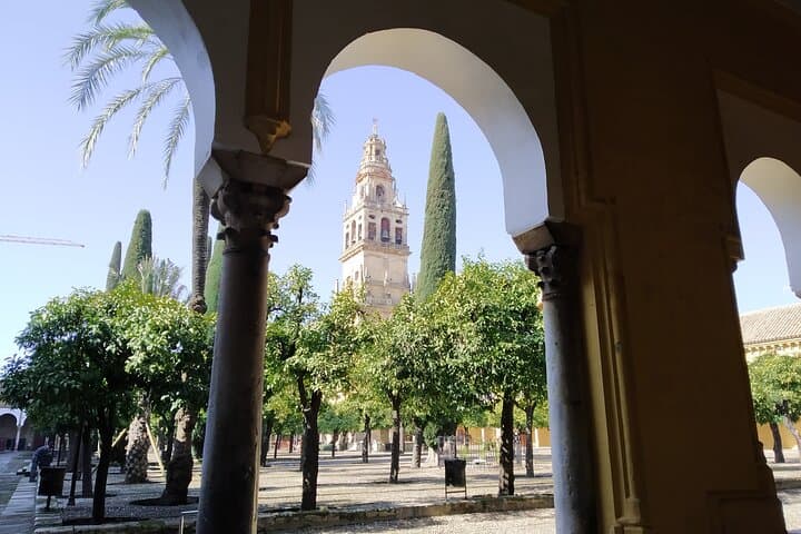 Courtyard of the Orange trees