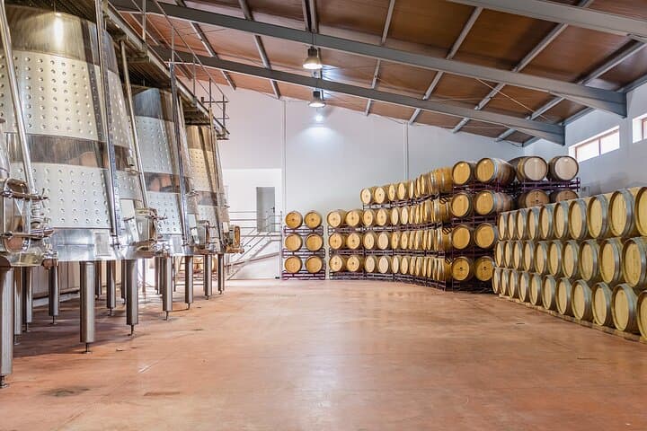 Premium Wine Tasting & Gastronomic Pairing Lunch near Valencia