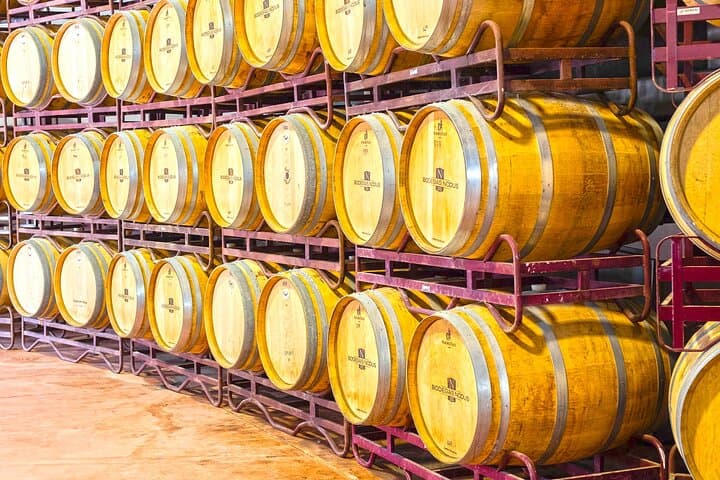 Premium Wine Tasting & Gastronomic Pairing Lunch near Valencia